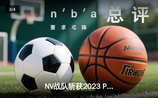 NV战队斩获2023 PMGC全球总决赛冠军，中国电竞再创辉煌 - 2